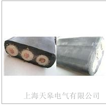 ���늚�����z�o(h��)�ױ���| �����z�o(h��)�ױ���|�S��